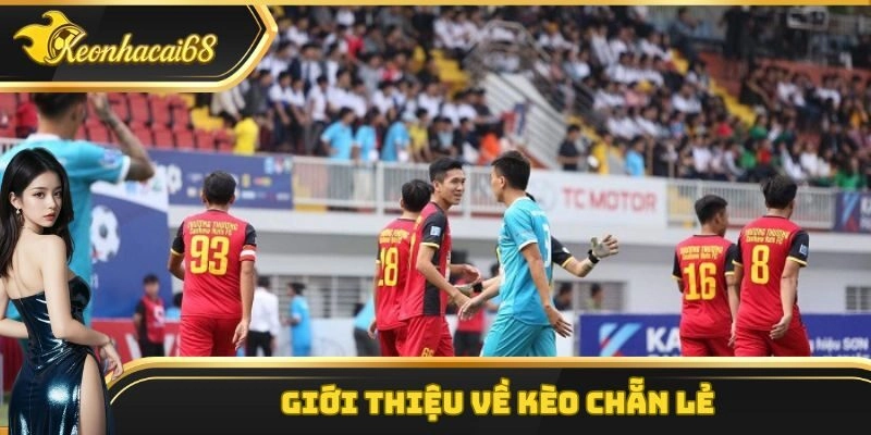 Giới thiệu về k&egrave;o chẵn lẻ