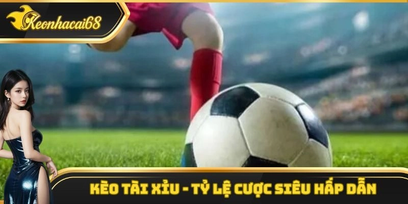 K&egrave;o T&agrave;i Xỉu &ndash; Loại H&igrave;nh Đặt Cược V&ocirc; C&ugrave;ng Hấp Dẫn Hiện Nay
