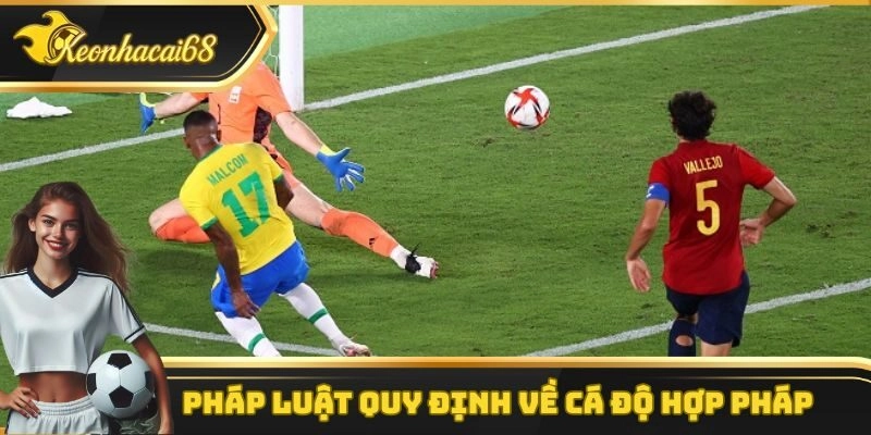 Ph&aacute;p luật Việt Nam quy định về c&aacute; độ hợp ph&aacute;p