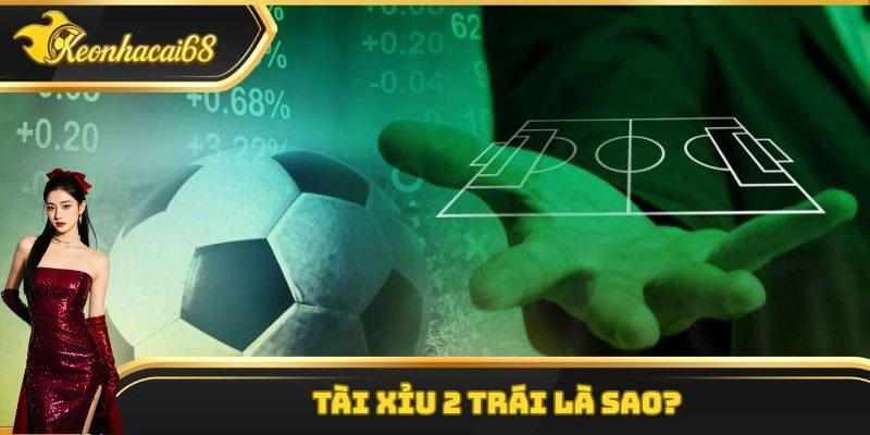 T&agrave;i Xỉu 2 Tr&aacute;i L&agrave; Sao? B&iacute; K&iacute;p Bắt K&egrave;o Chắc Thắng 100%