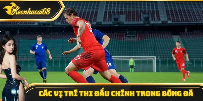 C&aacute;c vị tr&iacute; thi đấu ch&iacute;nh trong b&oacute;ng đ&aacute;