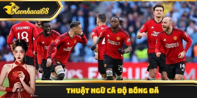 Thuật Ngữ C&aacute; Độ B&oacute;ng Đ&aacute; &ndash; Tổng Hợp Những Kh&aacute;i Niệm Phổ Biến