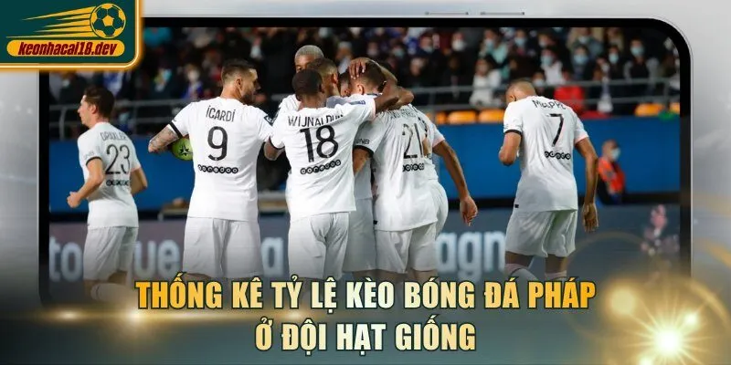 Thống kê tỷ lệ kèo bóng đá Pháp ở đội hạt giống